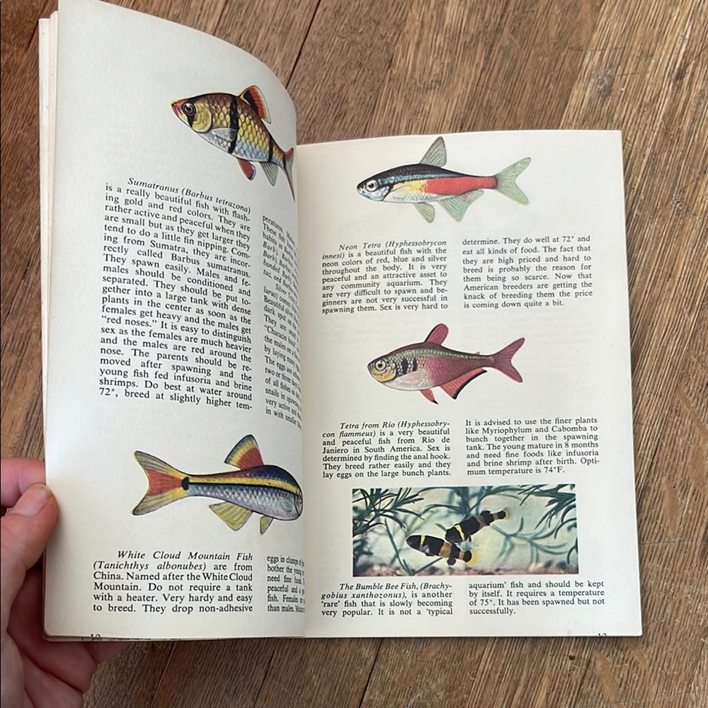 Tropical Fish Guide by Herbert R. Axelrod - Picture 10 of 11